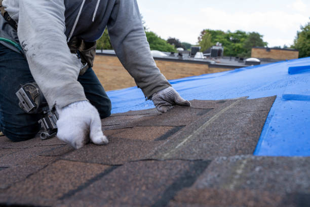 Emergency Roof Repair in Myrtle Grove, FL